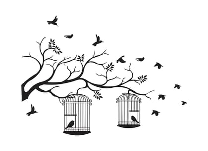 DreamKraft Decorative Black Tree with Birds and Cages PVC Vinly Wall Stickers (Multicolor, 115 cm X 155 cm) DreamKraft Decorative Black Tree with Birds and Cages PVC Vinly Wall Stickers (Multicolor, 115 cm X 155 cm)