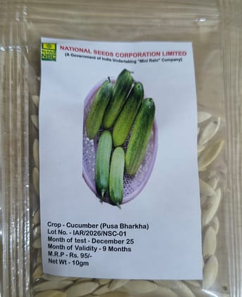 NSC Cucumber Pusa Barkha, 10gm NSC Cucumber Pusa Barkha, 10gm