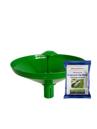 Sugarcane Top Borer (Scirpophaga excerptalis) Pheromone Lure & Water Trap Kit Used in Sugarcane Crop Sugarcane Top Borer (Scirpophaga excerptalis) Pheromone Lure & Water Trap Kit Used in Sugarcane Crop