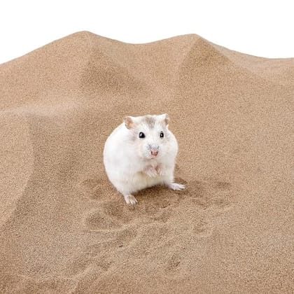 Vasio Stone Hamster Bath Sand for Hamsters, Gerbils & Cats 1 kg