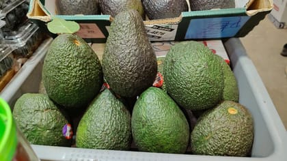 Avacado Imported 1 PCS