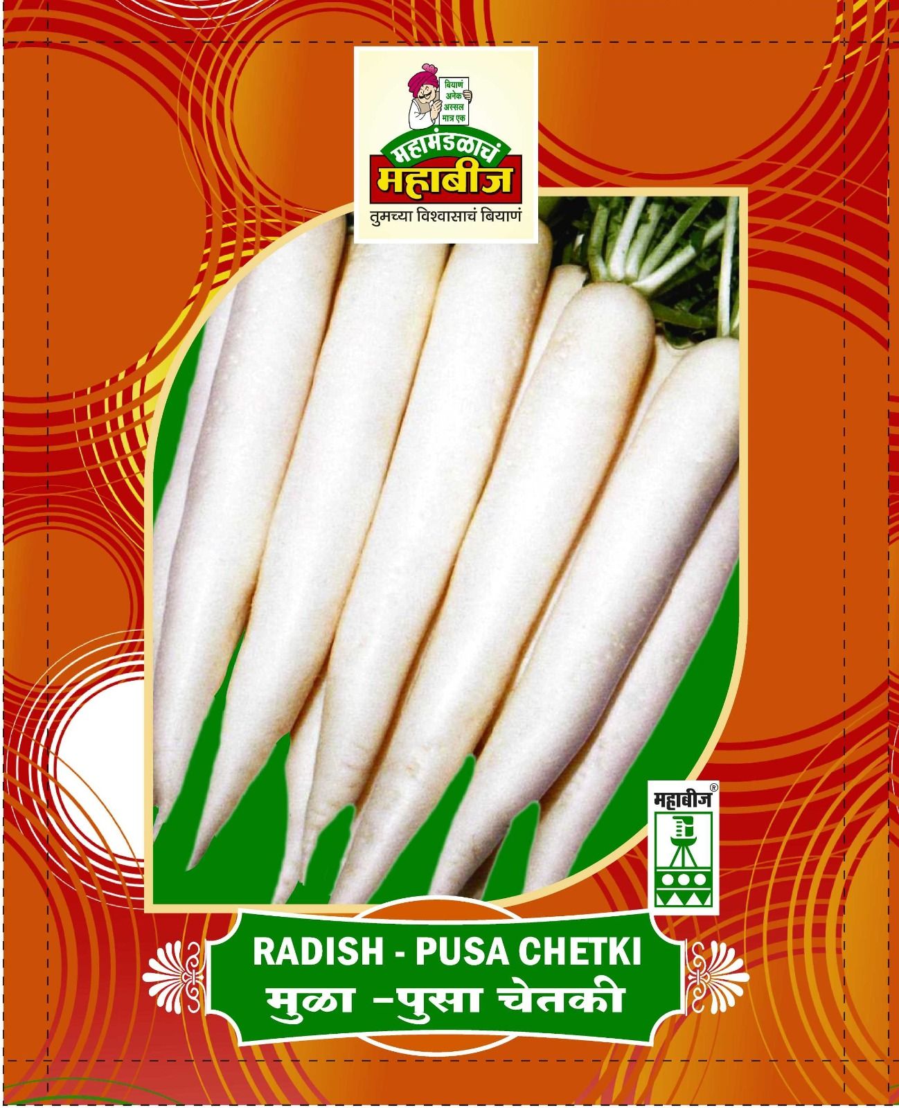 Mahabeej Radish / Radish Pusa Chetki  genetically pure seed 50 gm