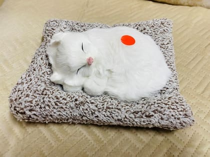 Sleeping Cat Plush Toy with Press Simulation Sound, Stuffed Cat Animal Fur Soft Toys with Sound for Kids Car Dashboard Cat & Office Desk Decoration Sleeping Cat Plush Toy with Press Simulation Sound, Stuffed Cat Animal Fur Soft Toys with Sound for Kids Car Dashboard Cat & Office Desk Decoration