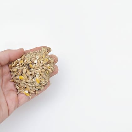 Balanced Cattle Feed Mix - 500 gm - One pack of cattle feed