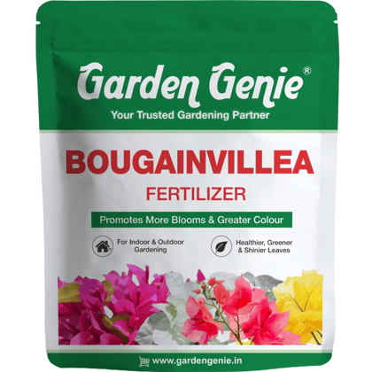 Garden Genie Bougainvillea Plant Fertilizer 830g | Organic Bloom Booster Fertilizer for Overall Growth of Bougainvillea Flowers in Home Garden, Powder Garden Genie Bougainvillea Plant Fertilizer 830g | Organic Bloom Booster Fertilizer for Overall Growth of Bougainvillea Flowers in Home Garden, Powder