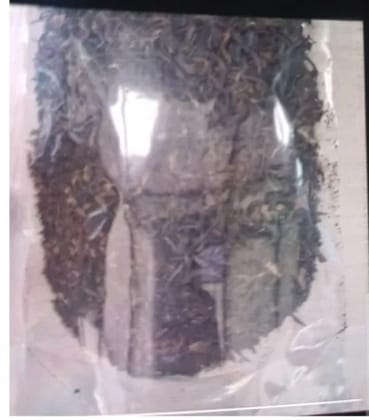 Organic Handrolled Green Tea 100gms