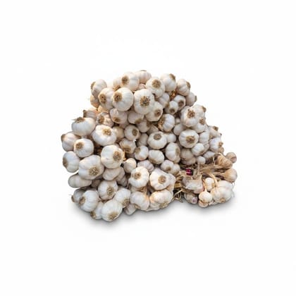 Fresh Garlic Bulbs - 1 kg - One bundle of garlic bulbs