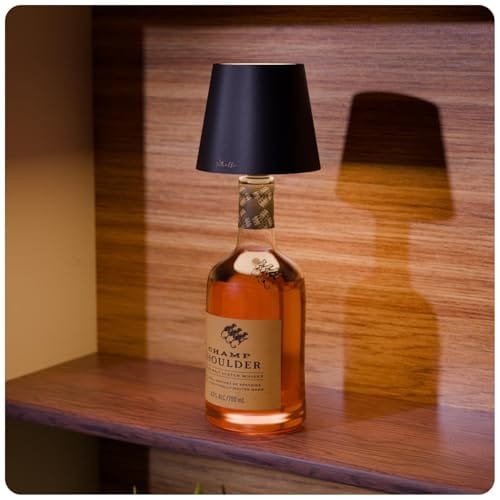 3 Colour Tones with Dimming | Rechargeable Touch Lampshade | Night Light for Bedroom | Birthday Gifts for Girls,