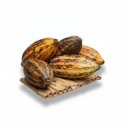 Raw Cocoa Pods - 1 kg - One pack of raw cocoa pods