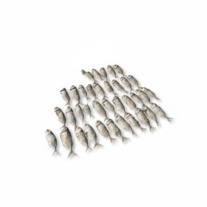 Traditional Sun-Dried Fish - 250 gm - One pack of dried fish