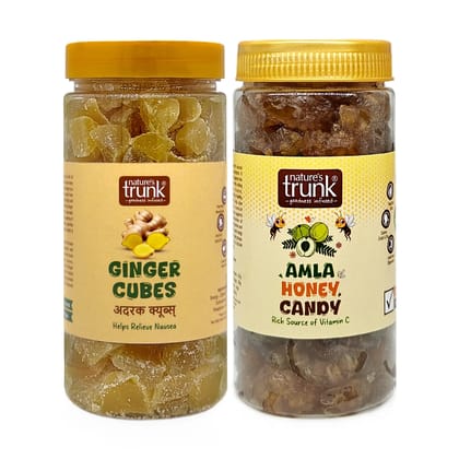 Nature's Trunk Ginger Cubes + Amla Honey Candy - Combo Pack 250g * 2 Pack