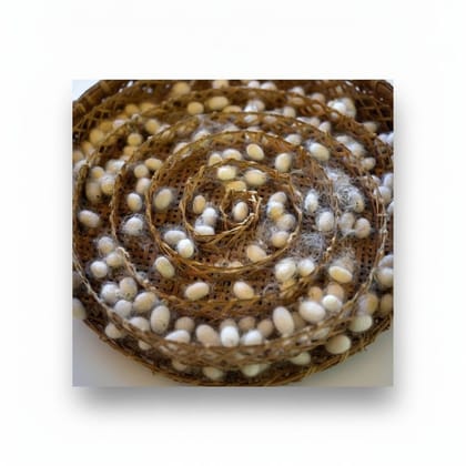 Natural Silkworm Cocoons - 1 kg - One pack of raw silkworm cocoons