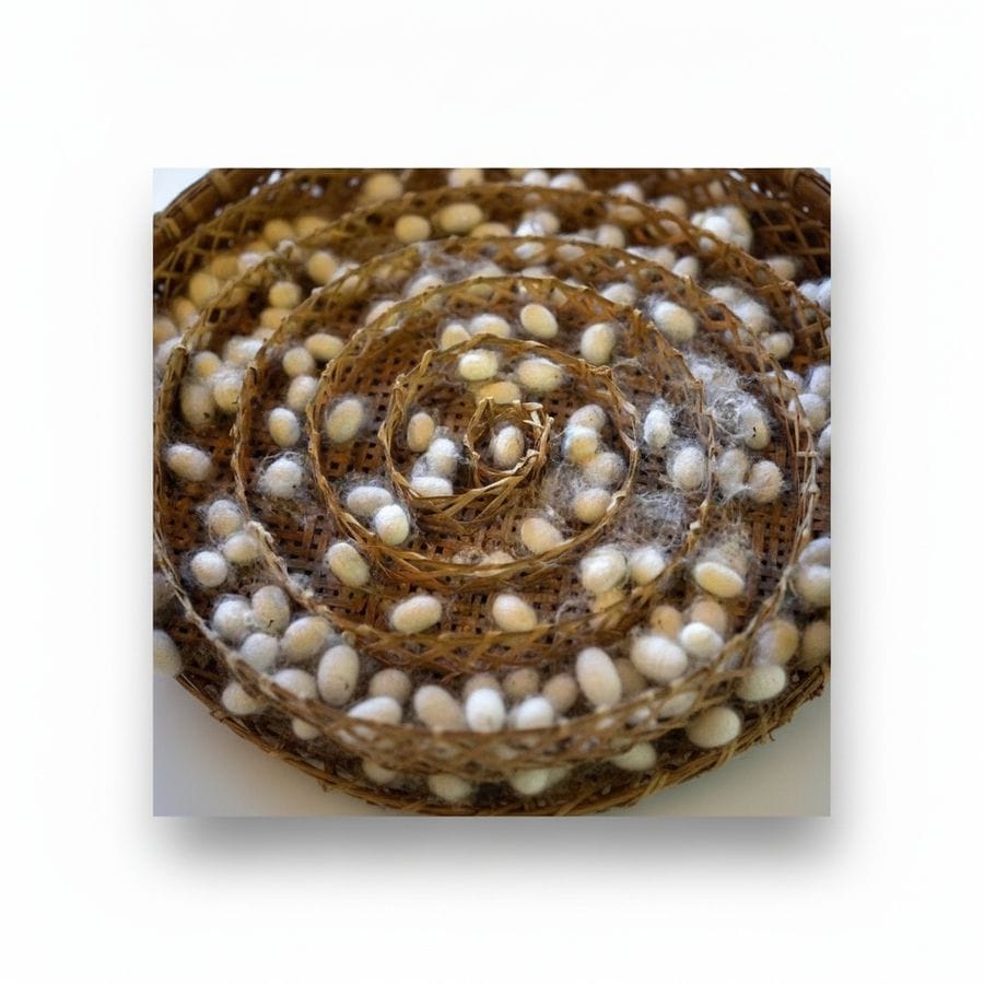 Natural Silkworm Cocoons - 1 kg - One pack of raw silkworm cocoons