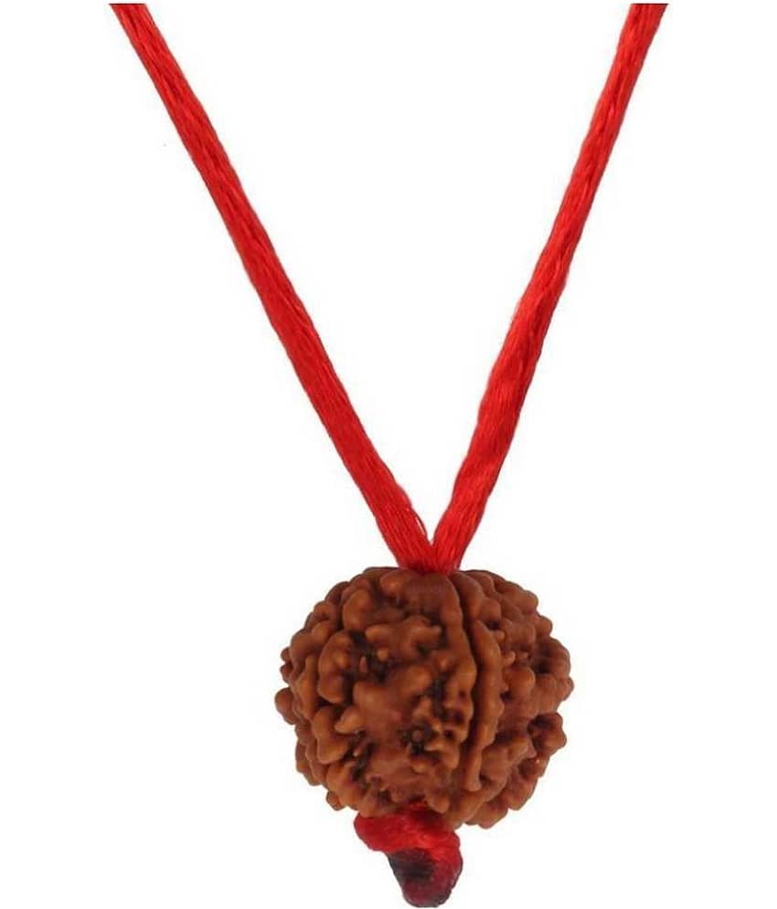 Astrodidi Nepali 6 Mukhi Rudraksha With Lab Certificate