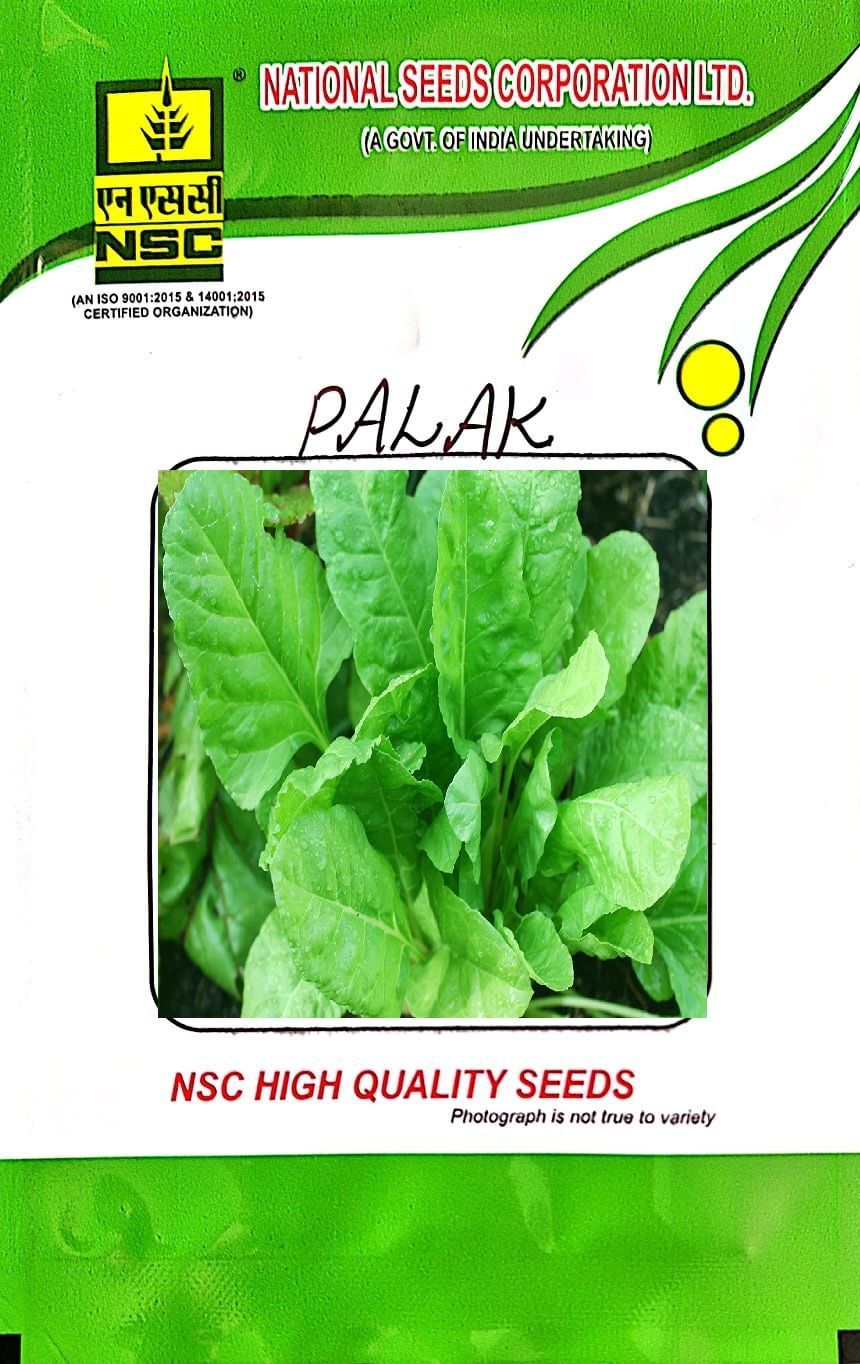 NSC-PALAK/ARKA ANUPAMA-250 GMS SEEDS