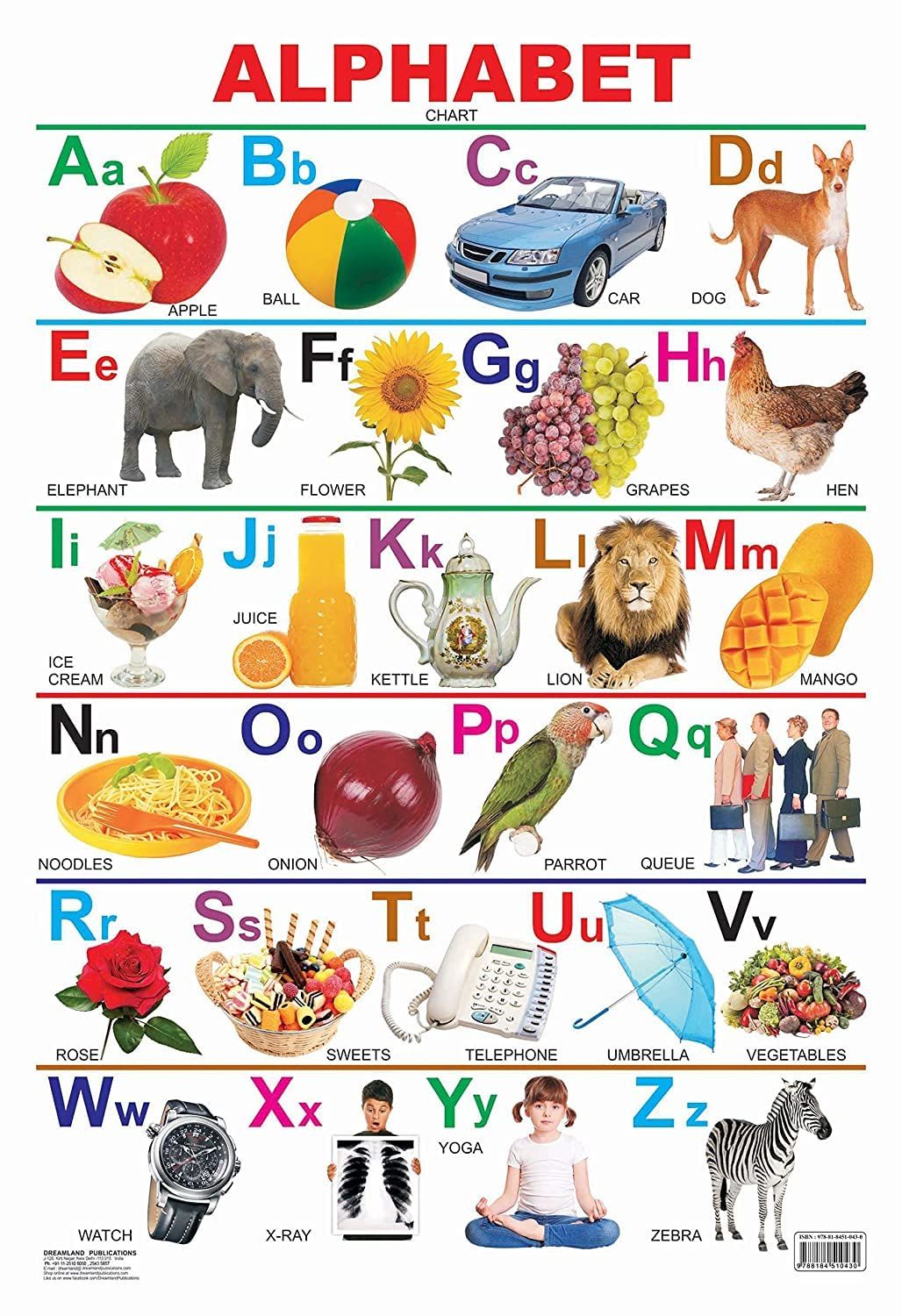 Alphabet Educational Wall Chart for Kids - Both Side Hard Laminated (Size 48 x 73 cm) [Poster] Dreamland Publications