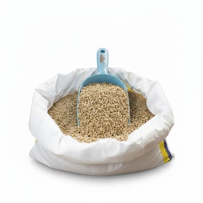 Premium Quality Wheat Grains - 10 kg - One bag of wheat grains