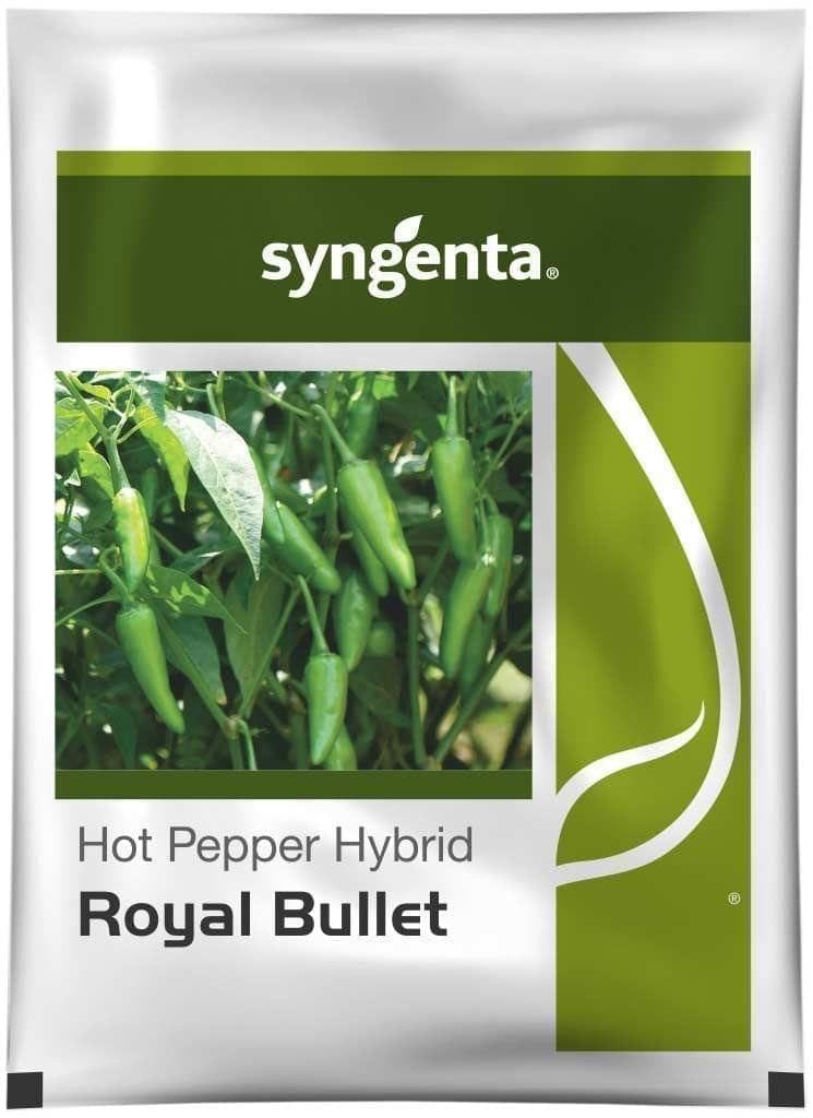 ROYAL BULLET