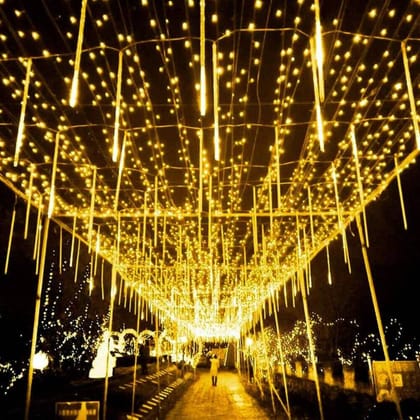 SPARKWORLD Warm White LED Meteor Shower Drop Stick Lights 8 Tubes, 192 LEDs | Diwali, Christmas & Outdoor Decoration Lights | Colour: Yellow SPARKWORLD Warm White LED Meteor Shower Drop Stick Lights 8 Tubes, 192 LEDs | Diwali, Christmas & Outdoor Decoration Lights | Colour: Yellow