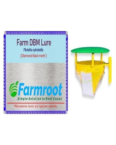 FARMROOT DBM LURE WITH FUNNEL TRAP (PACK OF 5)