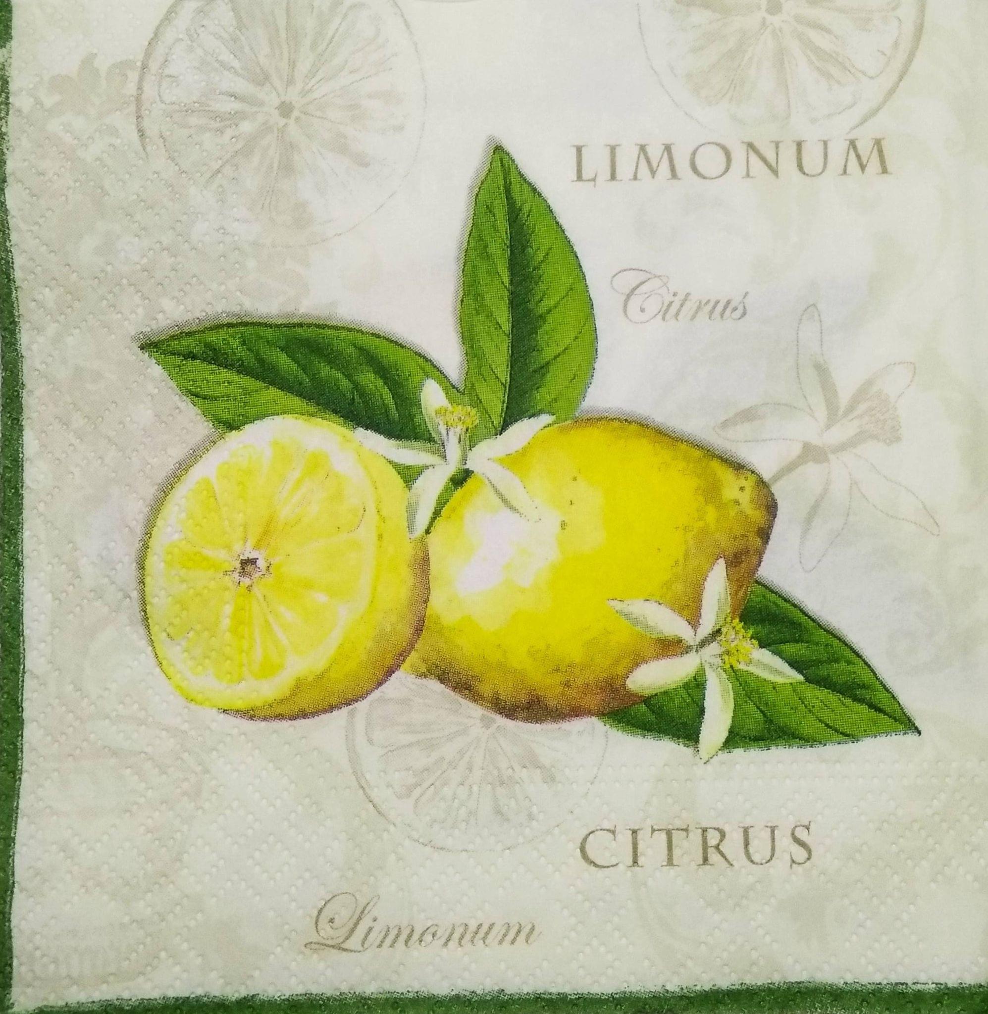 Decoupage Napkin / Tissue papers - 25cm*25cm - GT3235