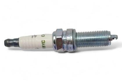 Champion Spark Plug TER8YC