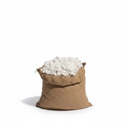 Raw Cotton Fibers in Jute Bag - 10 kg - One jute bag containing 10kg of raw cotton