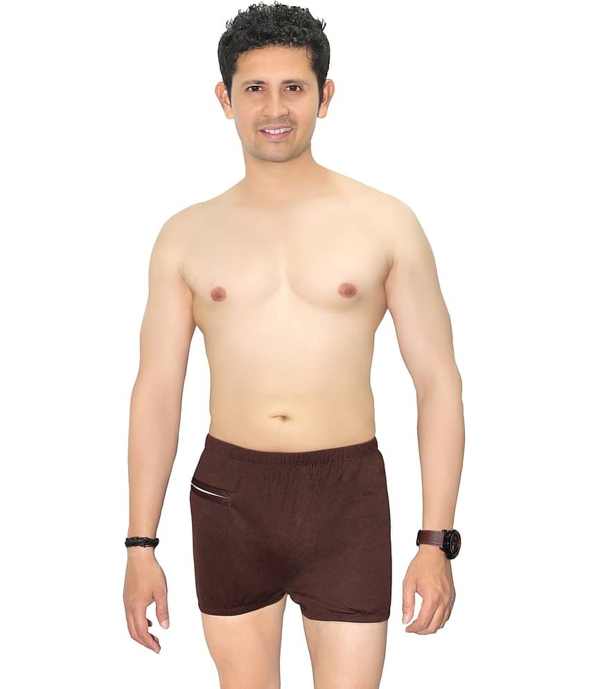 Goodluck Brown Polyester Trunk