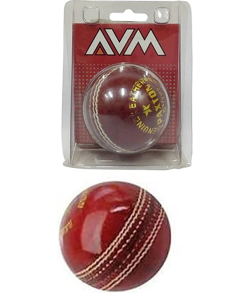 Leather Cricket Ball for Tournament and Club Matches, Practice Leather Ball 5 ½ OZ Hand Sewn Ball for Boys & Girls