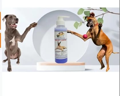 SWACCH Premium Shampoo for Great DANE (200ML) Lavender