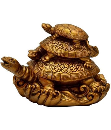 Nitin Collection Tortoise