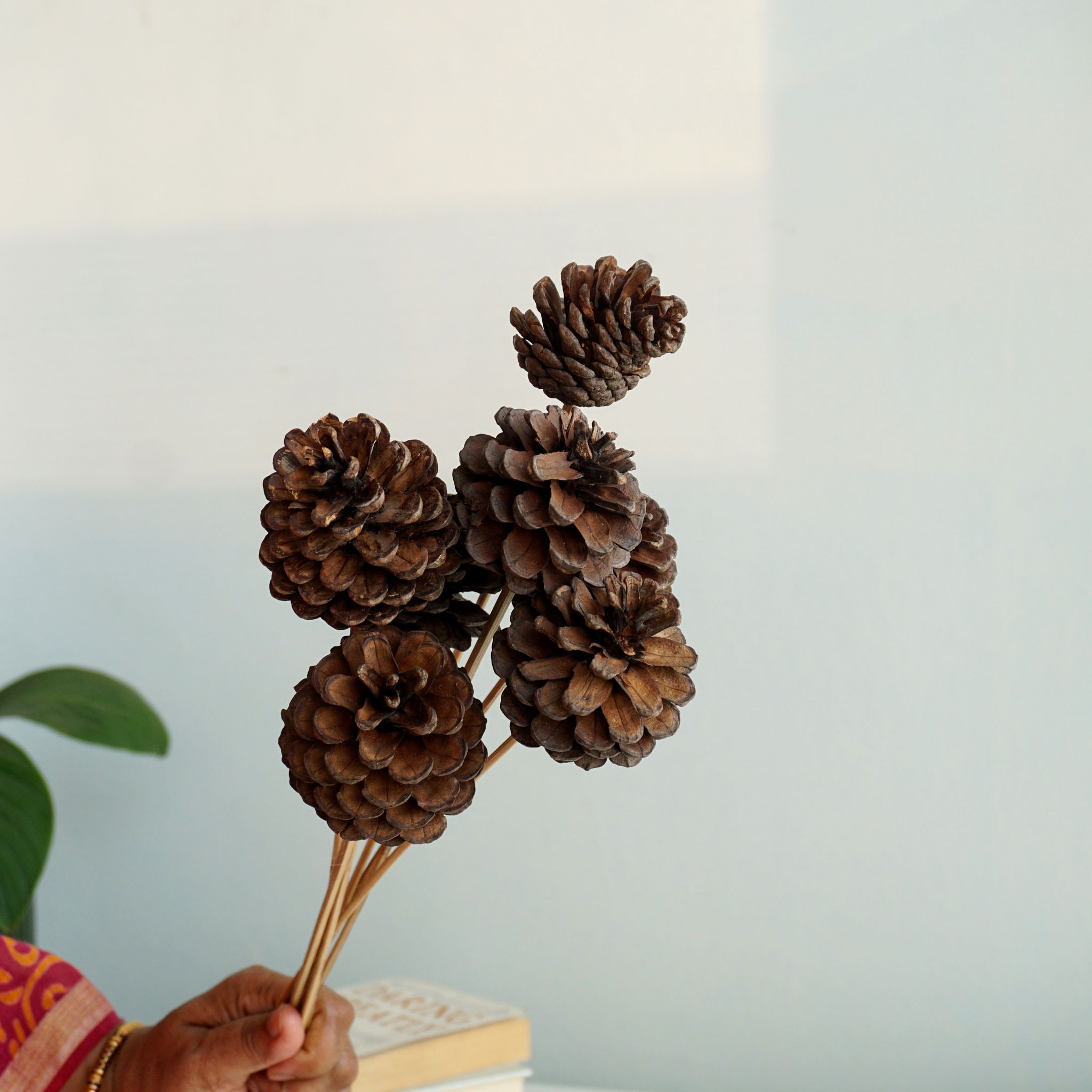 Pincone for Vase Decor | 6 Strands