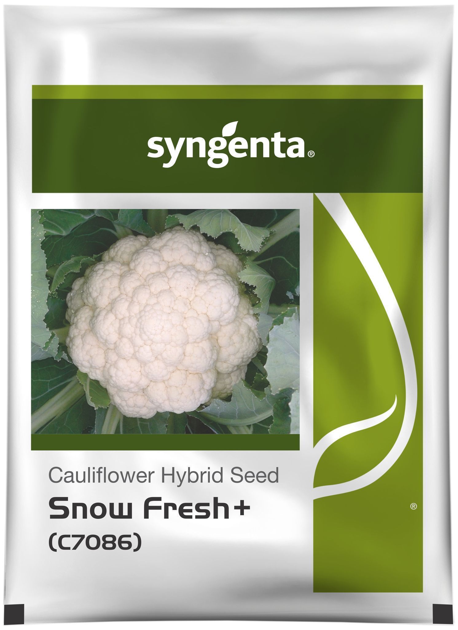 SNOW FRESH+