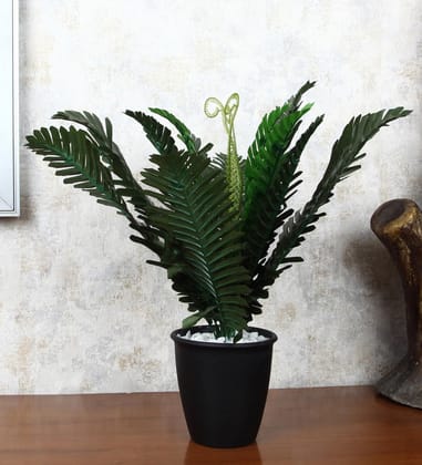 Foliyaj Artificial Plant with Plastic Pot for Home Decor | Decoration Items for Living Room | Decorative Table Top Indoor Plants Bonsai for Office Desks & Counters (Fern in Black Pot) Foliyaj Artificial Plant with Plastic Pot for Home Decor | Decoration Items for Living Room | Decorative Table Top Indoor Plants Bonsai for Office Desks & Counters (Fern in Black Pot)