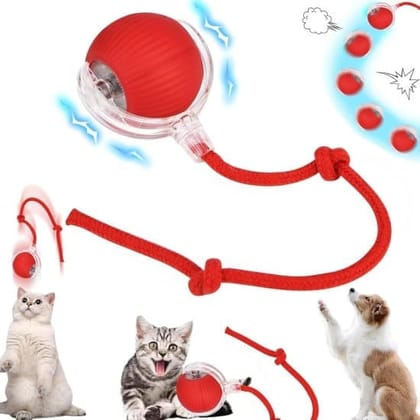Self-Moving Cat Toy | 360° Smart Automatic Electric Toy for Cats & Dogs | Chewie Viral Pet Ball | Automatic Cat Chasing & Teaser Ball | Self-Moving Interactive Toy for Pets (Original Series)