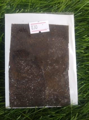Godhan Cow Dung Antiradiation Chip (1 Unit) | Authentic Textured Rectangular Design for Mobile Phones & Laptops | EMF Protection