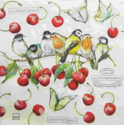 Decoupage Napkin / Tissue papers - 33cm by 33cm - GT1769