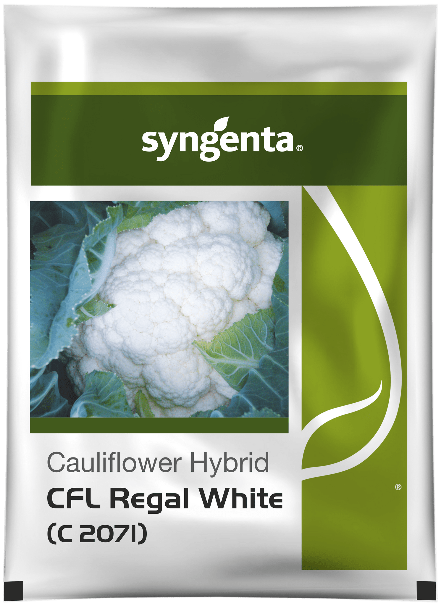 CFL-REGAL WHITE