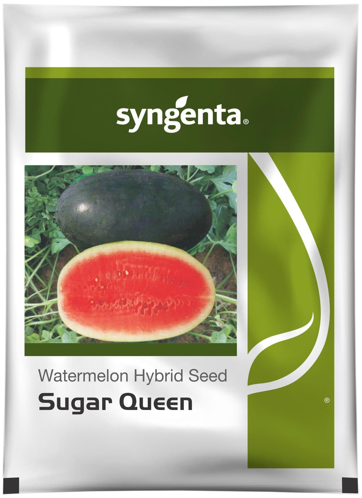 SUGAR QUEEN