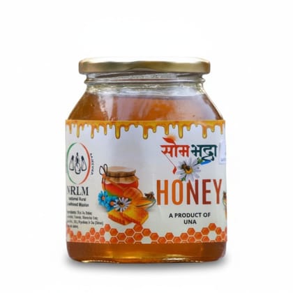 Sombhadra Honey - 900 gm - One glass jar