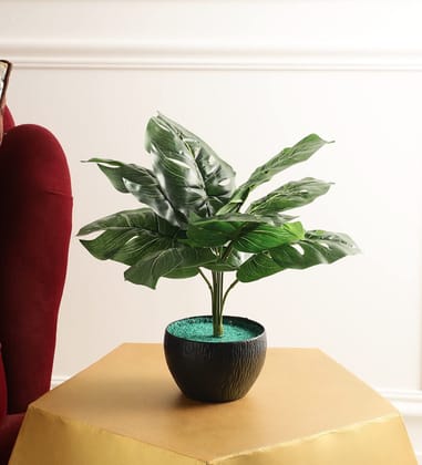 Foliyaj Real Look Artificial Monstera Plant with Pot|Bonsai Tree|Artificial Flower|with Pot|Home Decor for Living Room Home Office Shop|House|Gift|Decoration Foliyaj Real Look Artificial Monstera Plant with Pot|Bonsai Tree|Artificial Flower|with Pot|Home Decor for Living Room Home Office Shop|House|Gift|Decoration