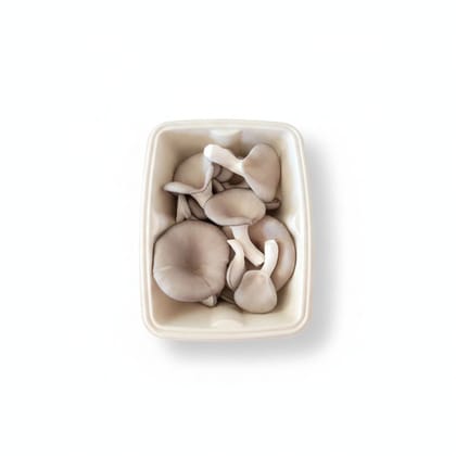 Fresh Oyster Mushrooms - 100 gm - One tray of fresh oyster mushrooms