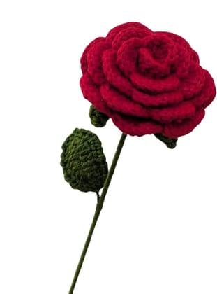 Rose flower