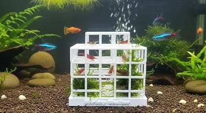 Premium Shrimp Shelter White  Eco Friendly Biodegradable Aquarium Hideout for Shrimp & Small Fish