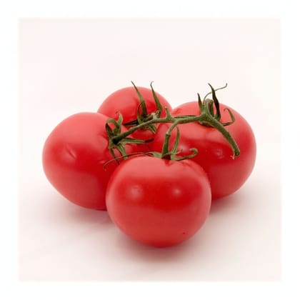 Fresh Tomatoes - 20 kg - Bulk pack of tomatoes