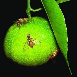 ... ...