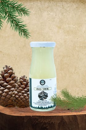 Nature's Elixir of Life: Dil-Xer - A Healthy Soda Alternative