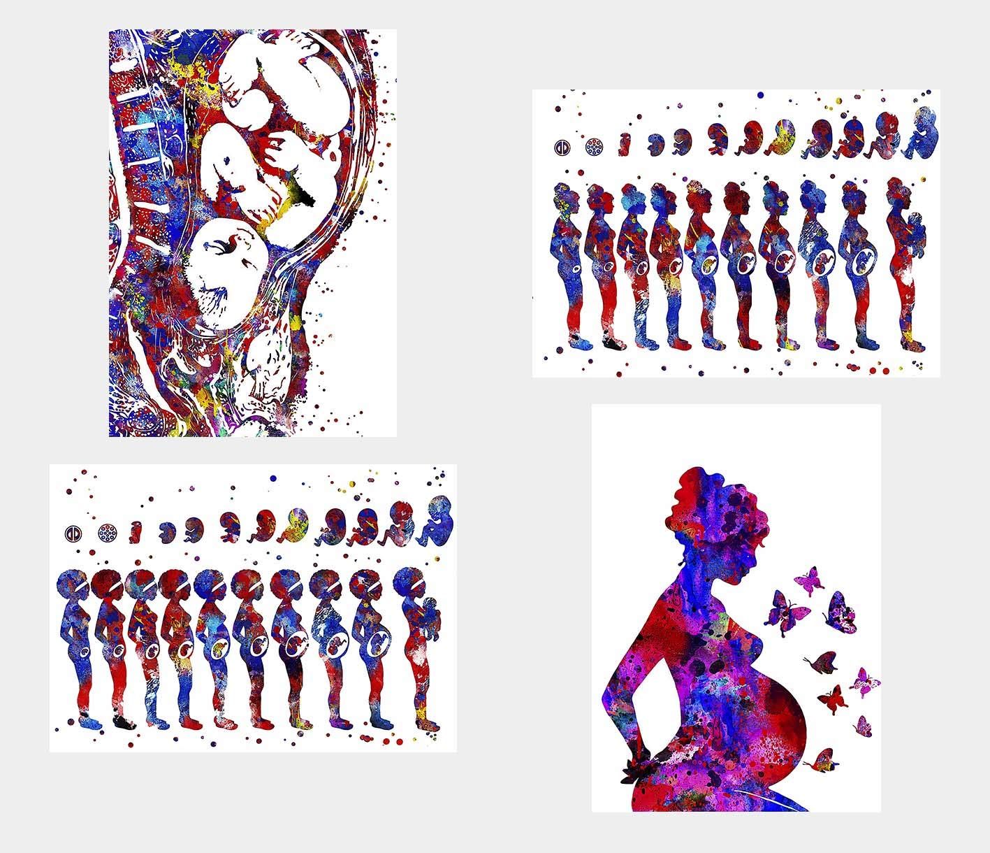 General ART Human Anathomy Pregnancy Pregnant Woman Watercolor Poster Prints Set of 4 Size A4 (21cm x 29cm) Unframed