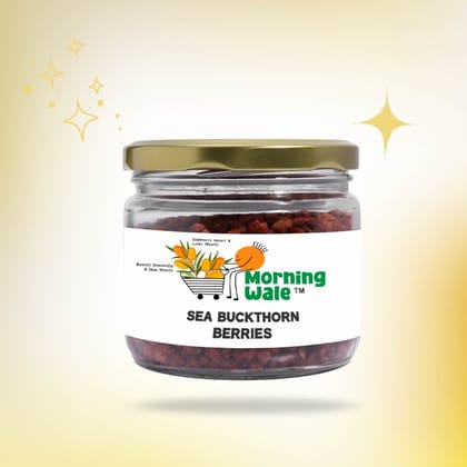 Morning Wale Dried Sea Buckthorn Berries (Pack of 3 x 100g) | Premium Himalayan Superfruit | Daily Wellness Bundle