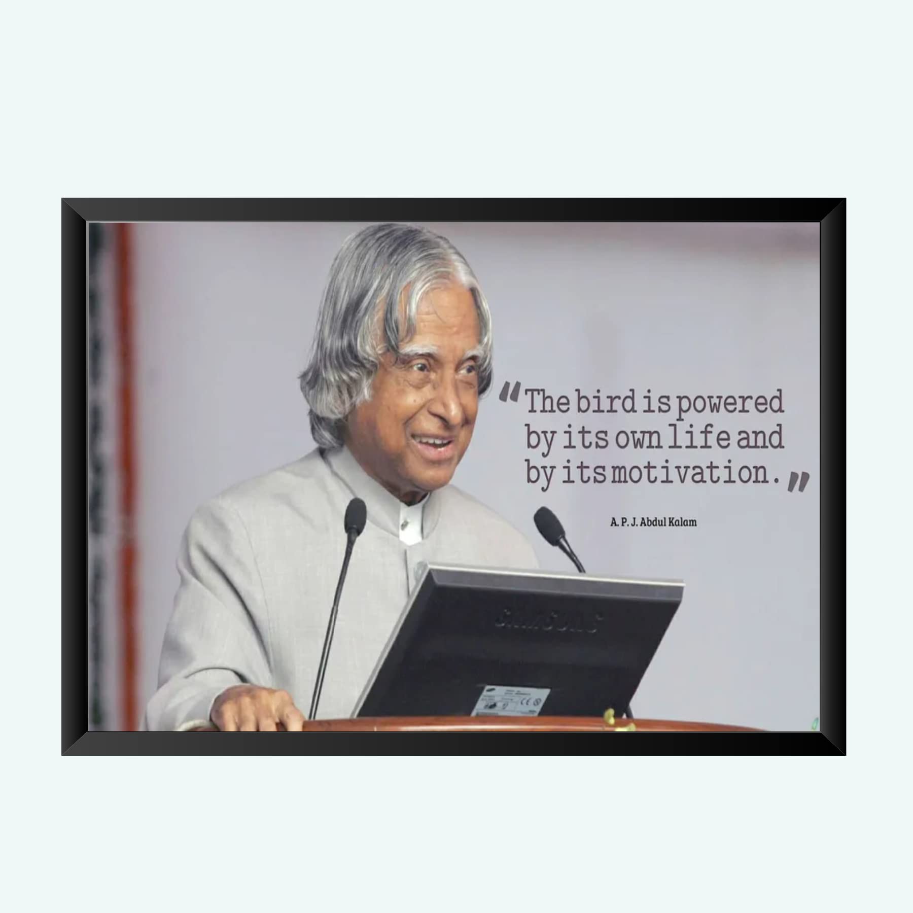 NOKKES A.P.J Abdul Kalam Wall Photo Frame For India Love And Wall Decoration Wall Photo Frame Size 8X12 Inch_A12